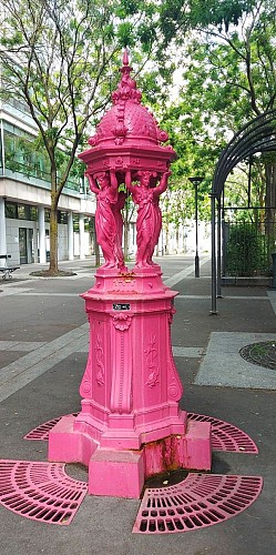 Fontaine Wallace (Fuchsia)