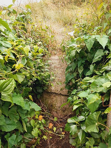 A travers la haie un angle du bunker apparait