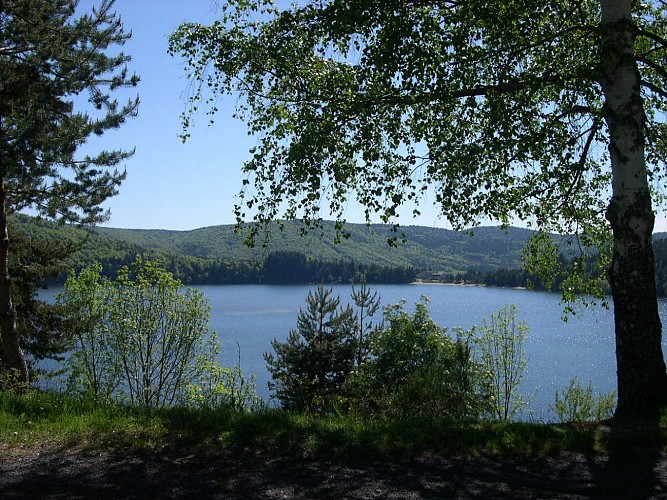 Le Lac d'Issarlès
