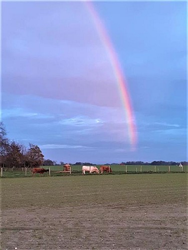 Gîtes de France® - Le Petit Marché