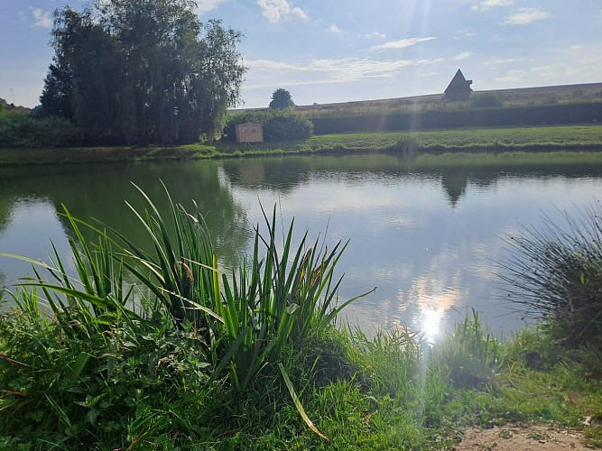 487788809_2143471399444792_6476453201570379934_n