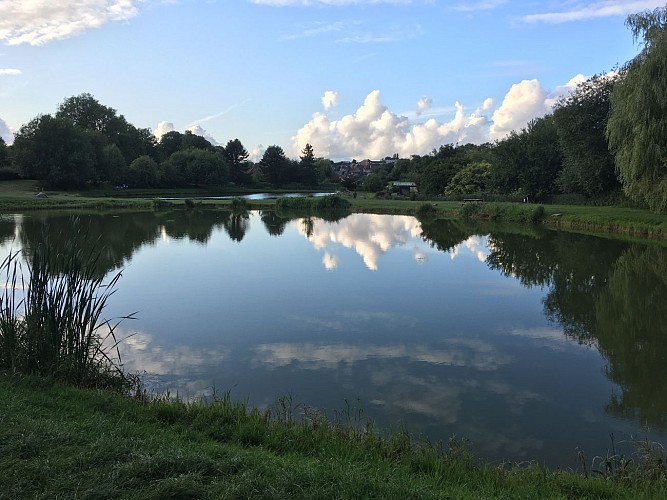 Etangs-de-la-Vienne_Lamberville