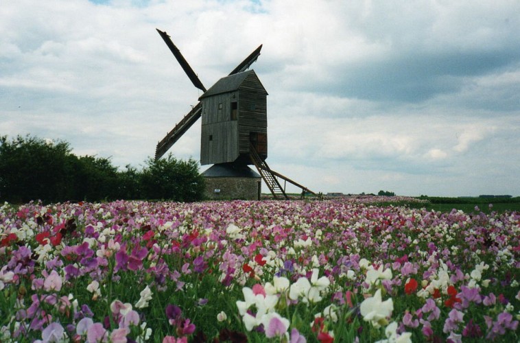 Moulin à vent "Fernand Barbier"