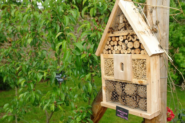 Tourisme_Jardin_Bellassiere_Crecy_Couve-003