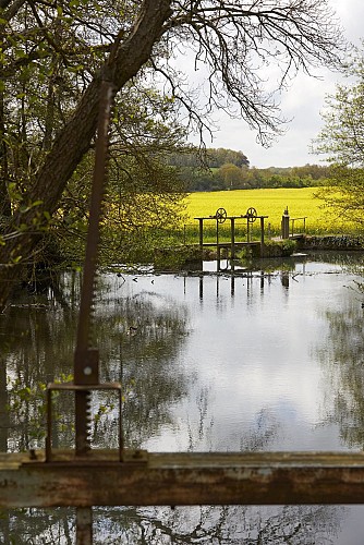 Balade à Crécy-Couvé (1)