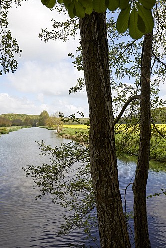 Balade à Crécy-Couvé
