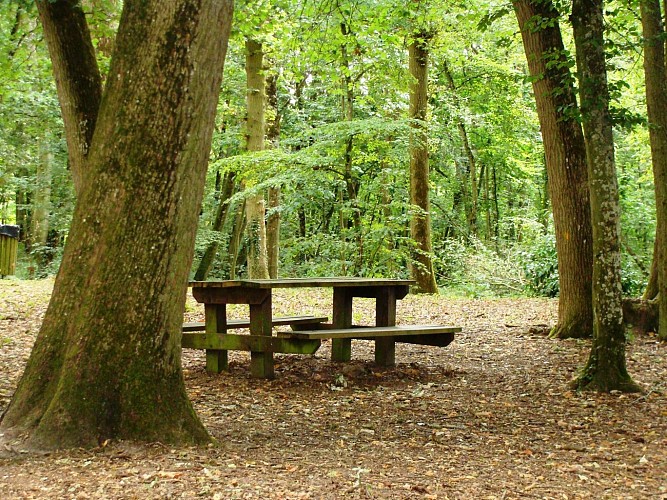 Bois des Gats