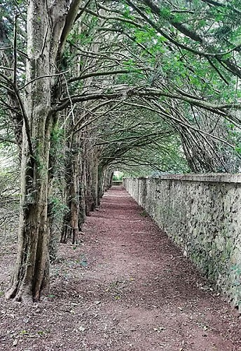 Le château de Swann