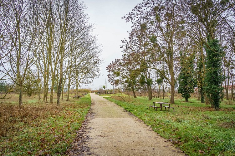 Parc Louis-Philippe (5)