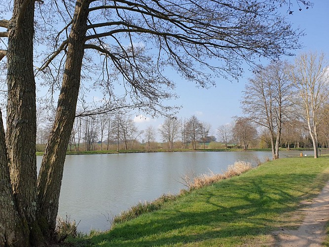 Etang Communal Manou