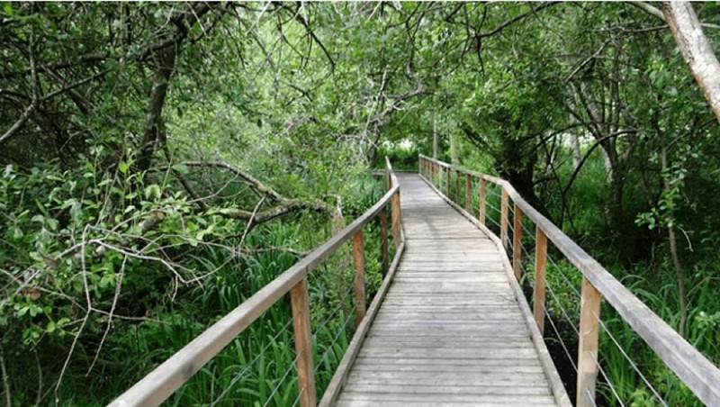 Sentier de Maincourt Yvelines