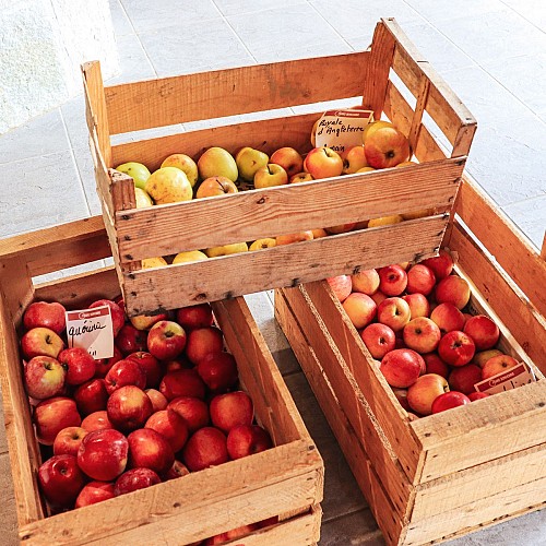 Tour of the Maison de la pomme et du biscantin in Serraval