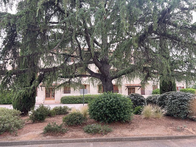 Studio Provence Village "Le Provence"