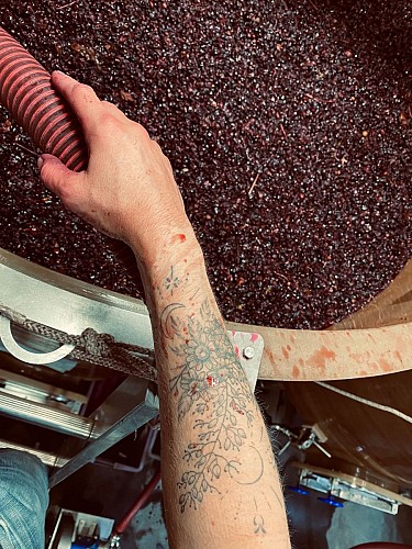 Vignoble des Vernusses