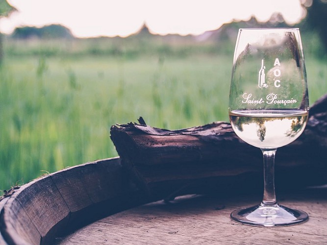 Vignoble des Vernusses : Une vision durable et engagée pour les terroirs de Saint-Pourçain