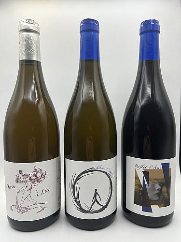 Vignoble des Vernusses : Une vision durable et engagée pour les terroirs de Saint-Pourçain