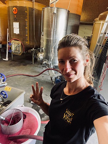 Vignoble des Vernusses