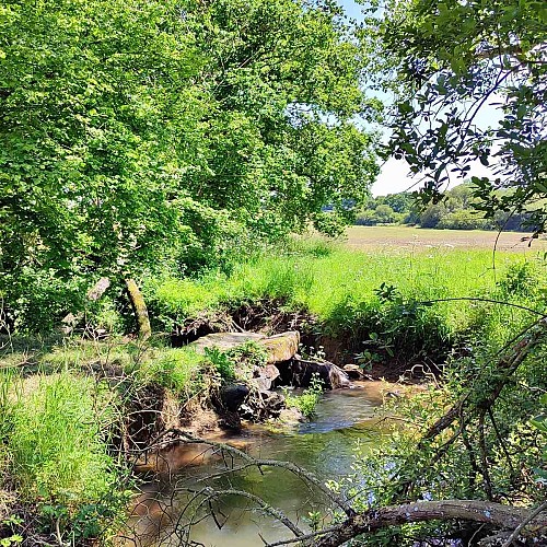 Pont Gallo-Romain - Lanmérin