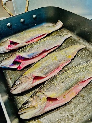 54354035626_11dd509b0a_w