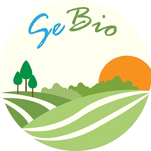 304694883_581917933408415_3775652286268212807_n