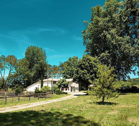 HLOAQU047V50KX54_GrezetCavagnan_Hozho_Tempo_2458_photo