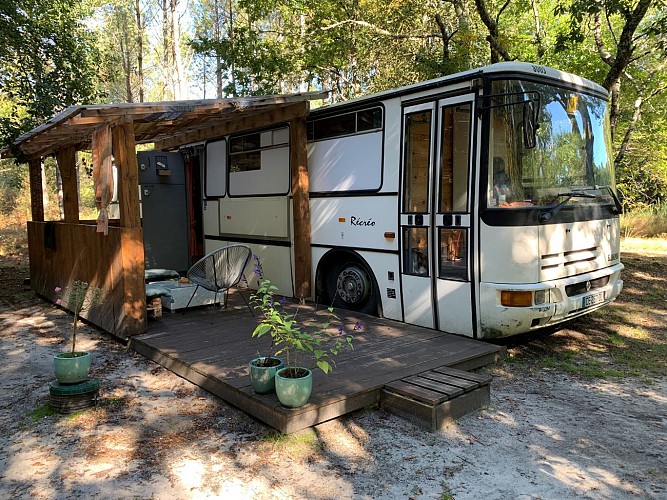 Into the wild bus