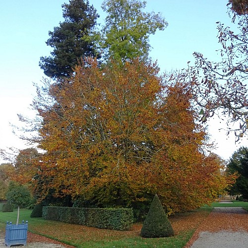 couleurs d'automne