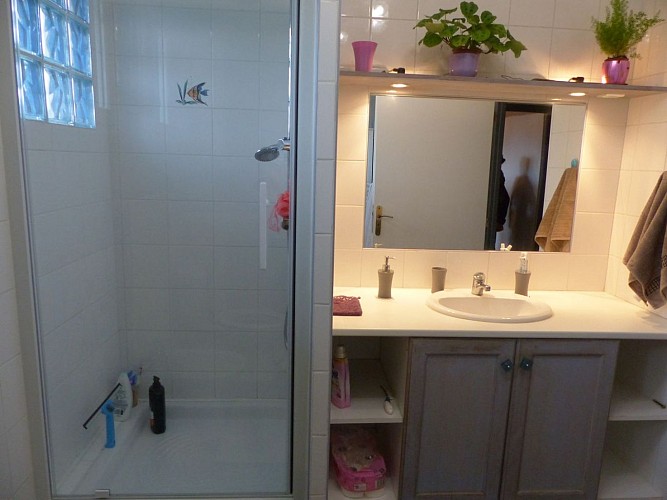 Morlaàs chambres d'hôtes camino des moulins salle d'eau