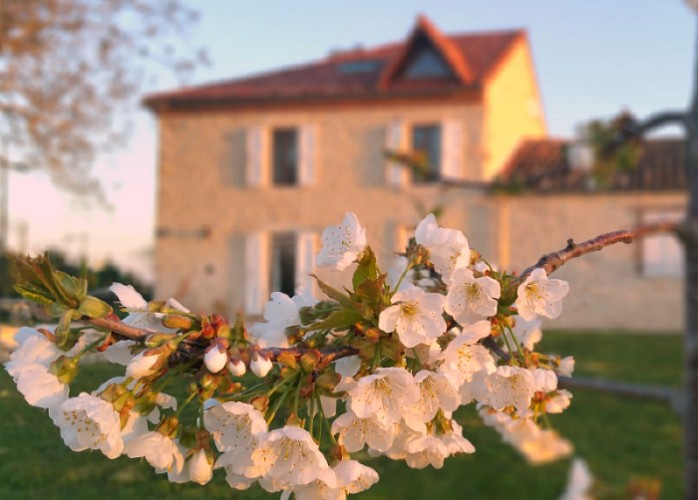 Maison d'hôtes CAPMASIL