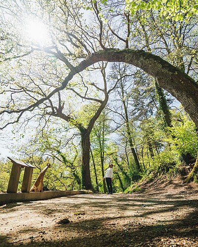 Le Bois de Penfoulic