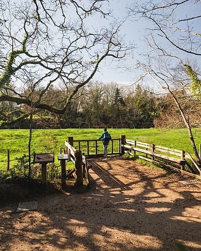 Le Bois de Penfoulic