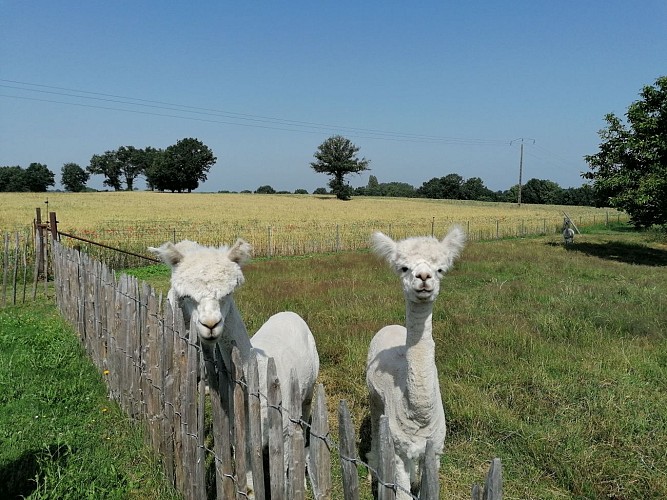 Gîte de la Baignade Naturelle