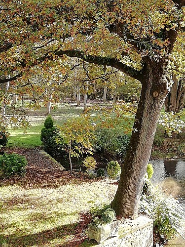 LE MOULIN DE GRATTE SAC