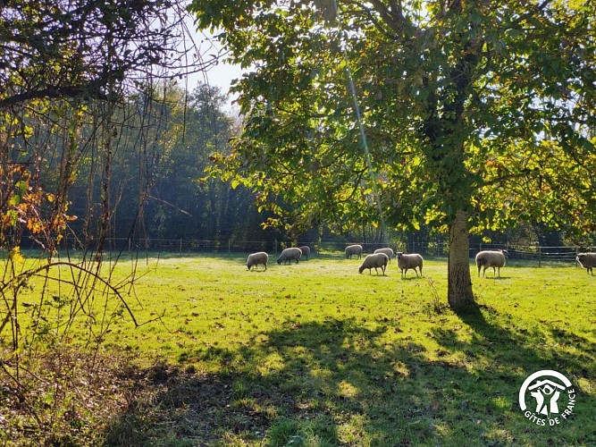 Le Domaine du Moulin de Margué, 15 personnes