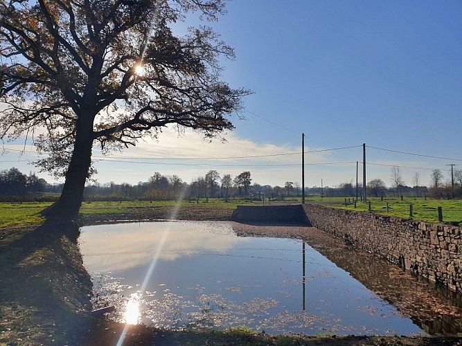 GÎTE DE LOUVEGAN, 12 À 14 PERS