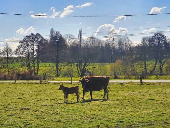 GÎTE DE LOUVEGAN, 12 À 14 PERS