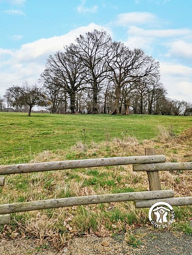 GÎTE DE LOUVEGAN, 12 À 14 PERS