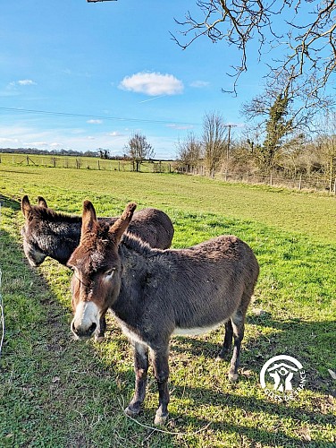 L'ESCAPADE MAYENNAISE, 4 À 6 PERS