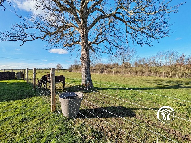 L'ESCAPADE MAYENNAISE, 4 À 6 PERS