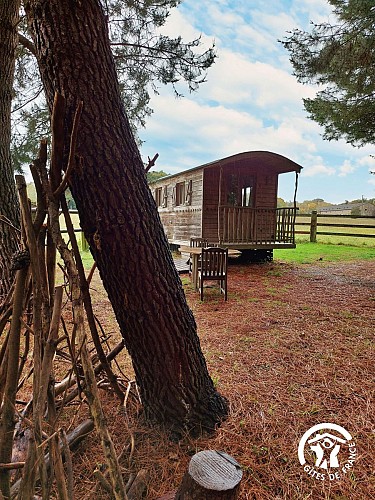 CHOUETTE ROULOTTE JUSQU'À 3 PERSONNES