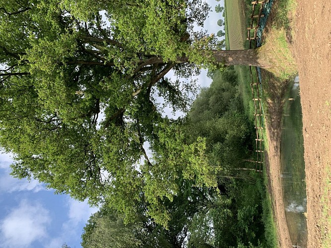 GITE INSOLITE TROGLOGITE LES ETANGS D'EOLE