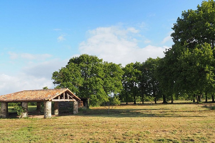 Natur'en Terre Happy