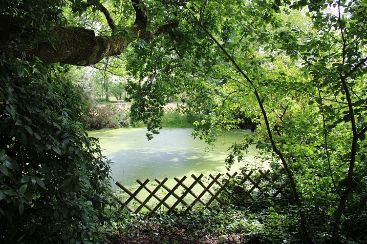 Natur'en Terre Happy