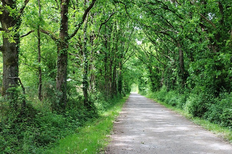 Natur'en Terre Happy