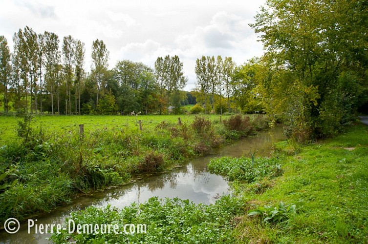 La rivière Le Crevon