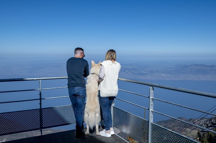 Ресторан Les Balcons du Lac