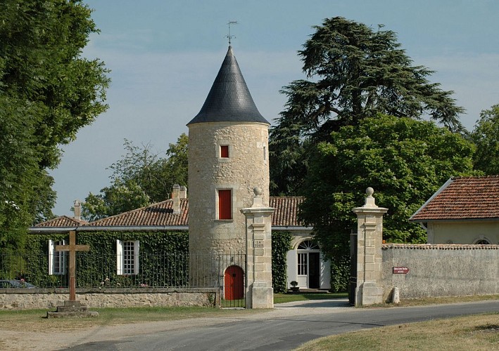 bordeaux-vignoble-pessac-leognan-grand-cru-classe-de-graves-cave-chateau-latour-martillac  (3)