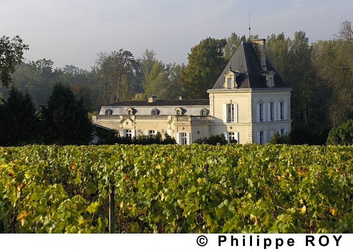 Chateau_Larrivet_Haut_Brion (1)