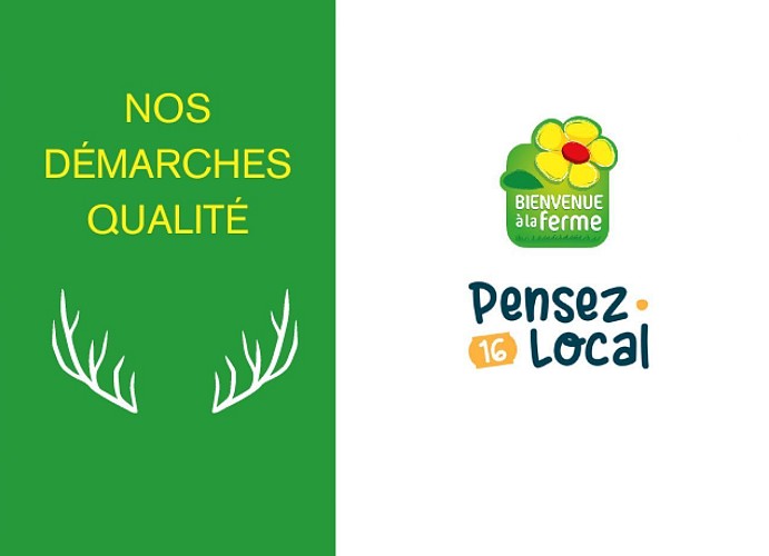 Cerfs des Eaux Claires