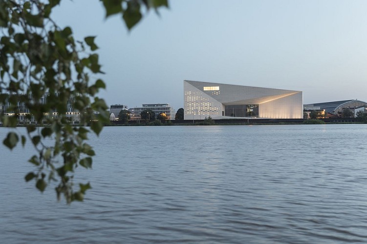 copyright_Laurian Ghnitoiu_meca 1 WEB copie 2